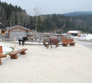 Esel mit Winteroutfit