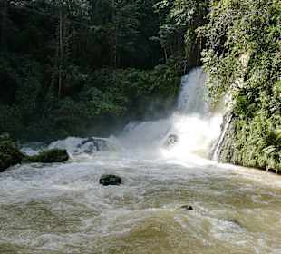 Ausflug Black River und YS Falls