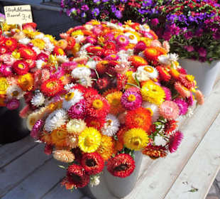 Rundgang über den Wochenmarkt Südermarkt 