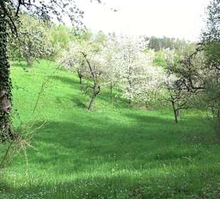 Walderlebnisweg Rottenburg