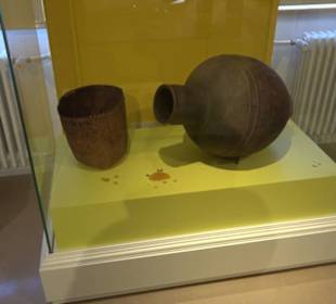 Museum Natur und Mensch