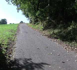 Bussen Schöpfungsweg Offingen