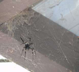 Ausflug Wildfife Expeditions- Rastplatz