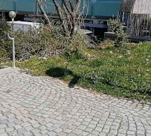 Theater Reutlingen Die Tonne