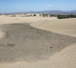 Dünen von Maspalomas