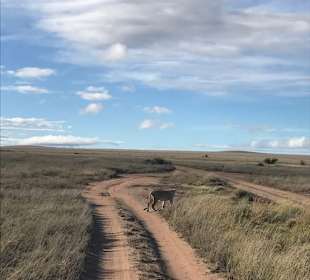 Serengeti