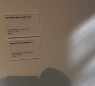 Museum für Vor- und Frühgeschichte