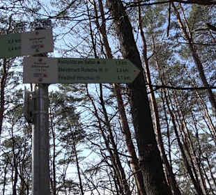 Hirschauer Spitzbergwegle (Premiumspazierwanderweg