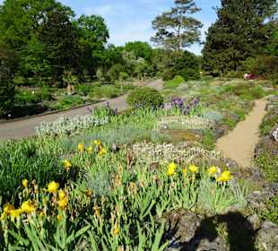 Der Bremer Botanische Garten im Mai