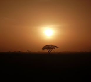 Ausblick in Amboseli