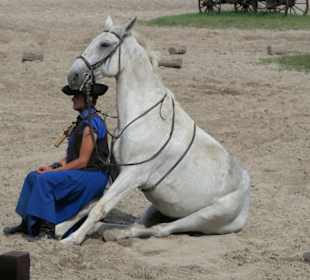 Puszta Ausflug Reitershow