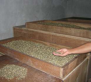 Plantagen