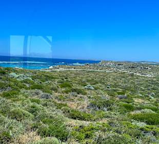 Rottnest Island
