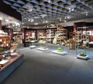 Blick in die Sammlung des Naturkundemuseums
