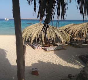 Insel Mahmya Schnorchel Ausflug