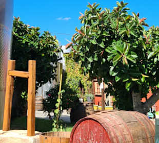 Gelände Weingut Callinico