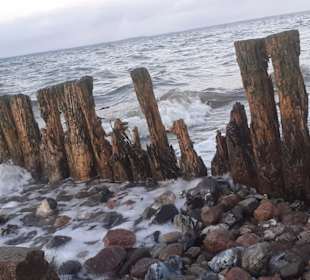 Strand Habernis