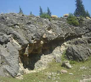 Parcul Natural Apuseni