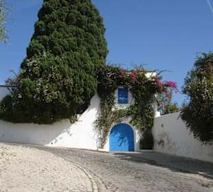 Alles in Weiß und Blau