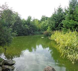 Angelegter Fluss im Bereich Afrika