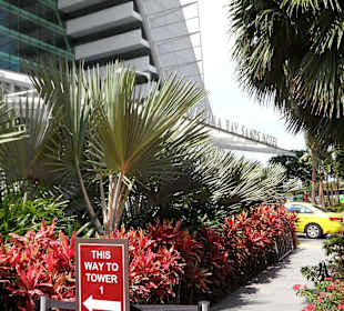 Vorm Hoteleingang...