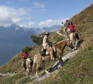 Alpines Reiten im Reit Eldorado Kärnten