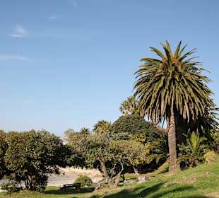 Boulders Beach