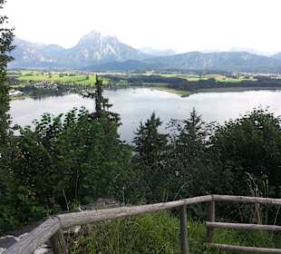 Ausblick von der Burgruine auf den Hopfensee