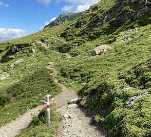 Wandern Silvaplana