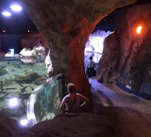 National Aquarium Malta