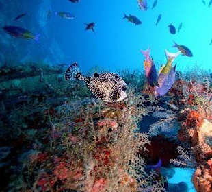 Bild vom Card Partner