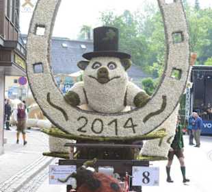 © Narzissenfestverein/ Nils Kahle