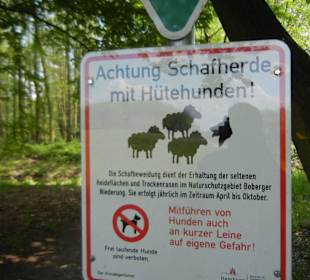 Naturschutzgebiet Boberger Niederung