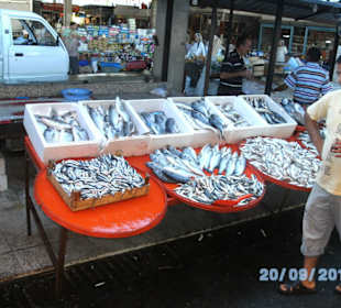 Frischer Fisch