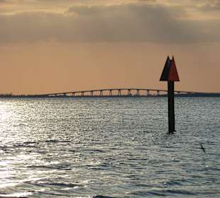 Abends in Fort Myers