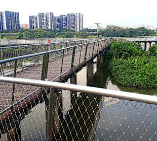 Jurong Lake und Gärten