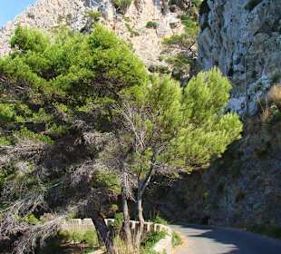 Panoramastraße auf La Victoria