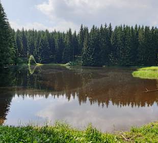 Wandern Oberhof