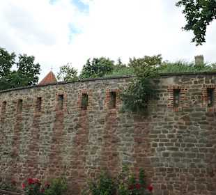 Teil der ehemaligen Befestigung von Magdeburg