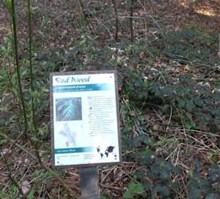 Wanderung Florianrunde