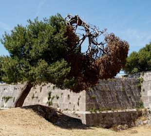 Хорватия,пула,венецианская крепость