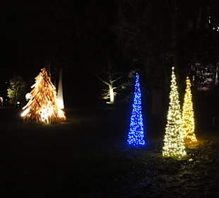Lichtkunst im Schlosspark