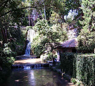 Botanischer Garten