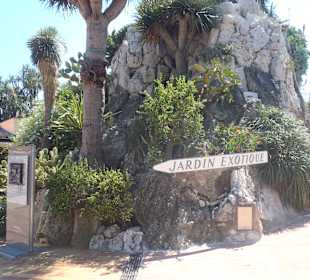 Eingang exotischer Garten