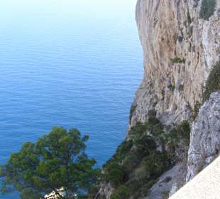 Formentor