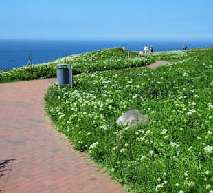 Weg auf dem Oberland