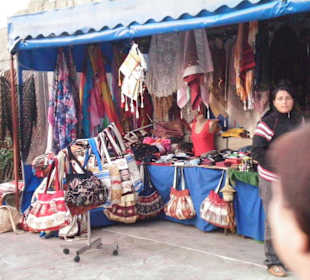Piękna pani i jej piękne otoczenie