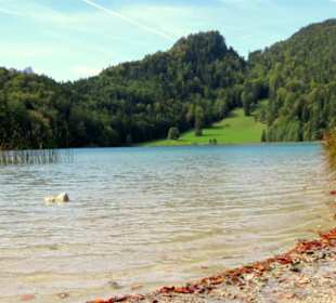 Seeufer beim Restaurant