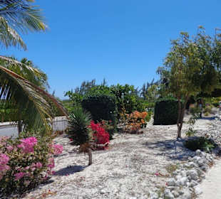 Tolle Gartenanlage im Terminal