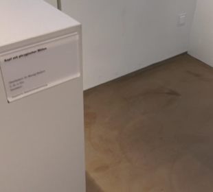 Museum für Vor- und Frühgeschichte